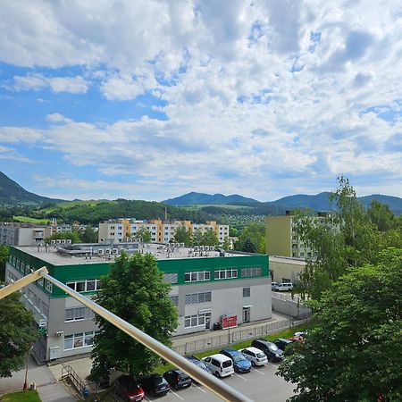 Wolf Apartman Pokojne Ubytovanie V Povazskej Bystrici Ticha Lokalita S Parkovanim Vsade Blizko Vhodne Pre Pracovne Cesty Turistiku Aj Oddych Plne Vybavena Kuchyna Považská Bystrica Esterno foto