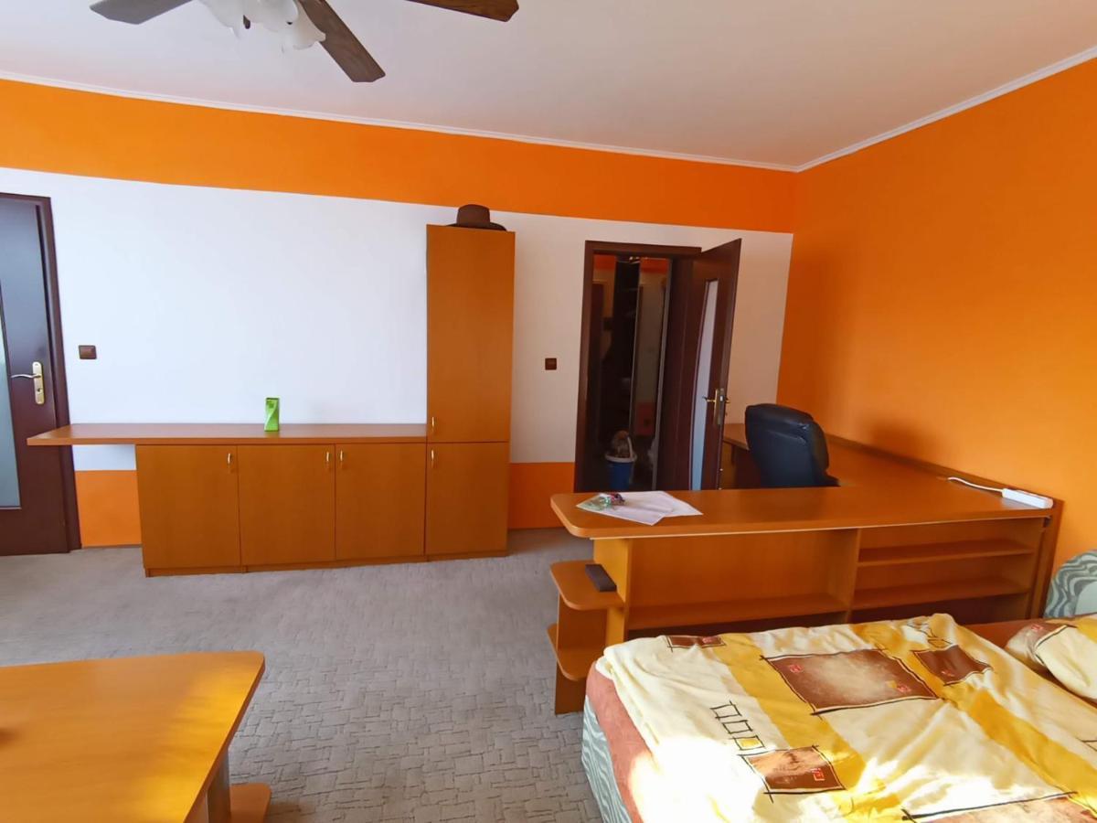 Wolf Apartman Pokojne Ubytovanie V Povazskej Bystrici Ticha Lokalita S Parkovanim Vsade Blizko Vhodne Pre Pracovne Cesty Turistiku Aj Oddych Plne Vybavena Kuchyna Považská Bystrica Esterno foto