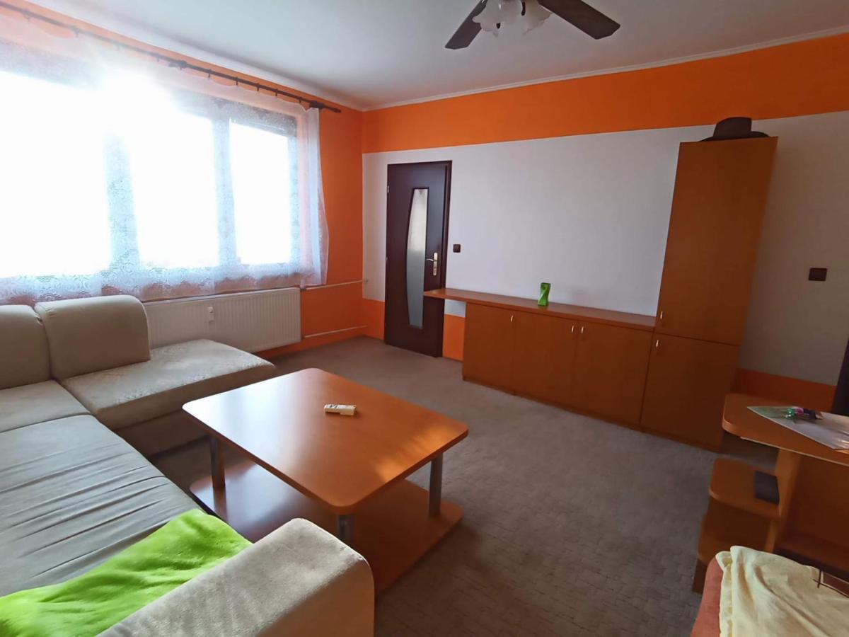 Wolf Apartman Pokojne Ubytovanie V Povazskej Bystrici Ticha Lokalita S Parkovanim Vsade Blizko Vhodne Pre Pracovne Cesty Turistiku Aj Oddych Plne Vybavena Kuchyna Považská Bystrica Esterno foto